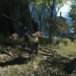 ffxiv 14 realm reborn screenshot chocobo 2