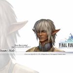 ff11 wallpaper elvaan male